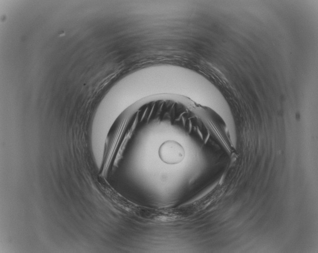 X0000078290364200611251449