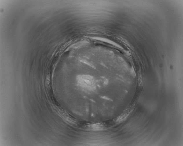 X0000078290365200611251449