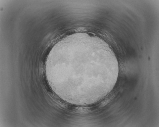 X0000078290367200611251449