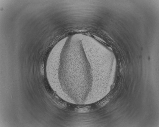 X0000078290368200611251449