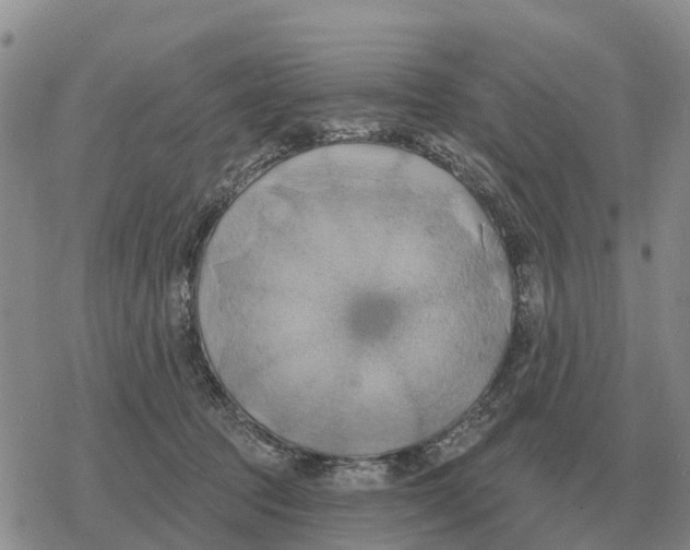 X0000078290369200611251449