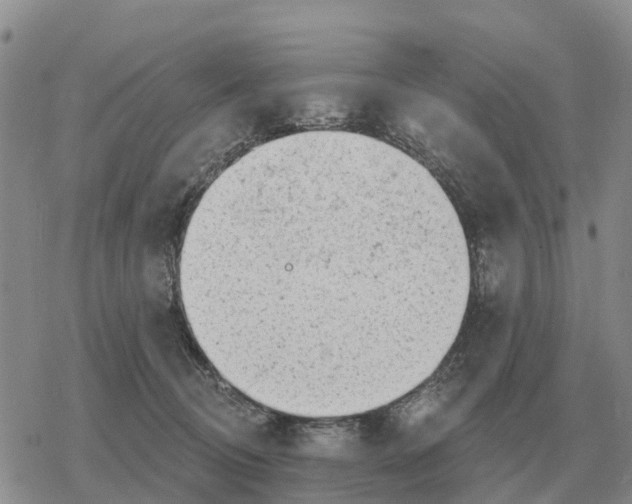 X0000078290370200611251449