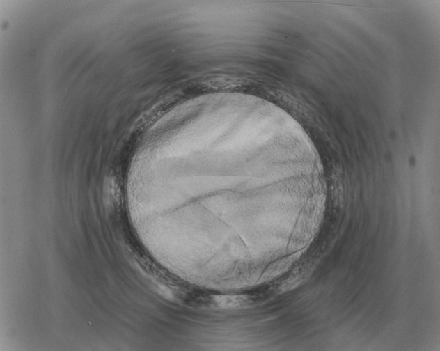 X0000078290371200611251449