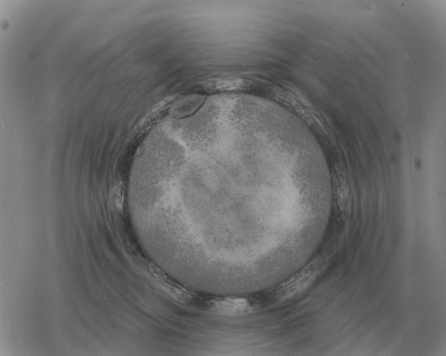 X0000078290374200611251449