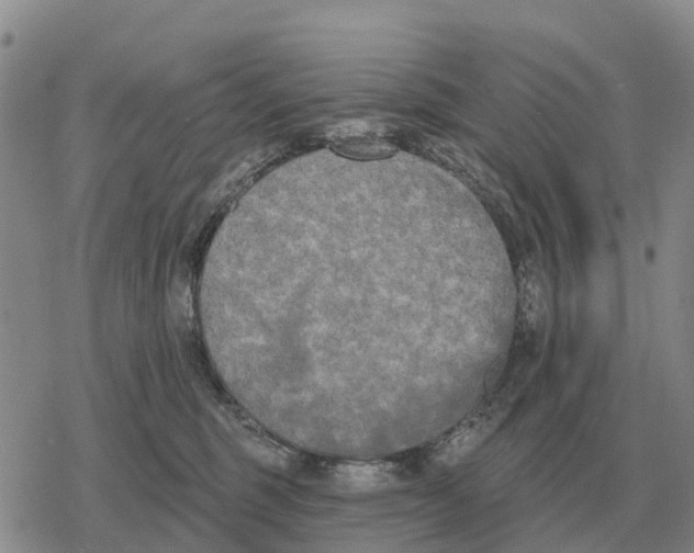 X0000078290375200611251449