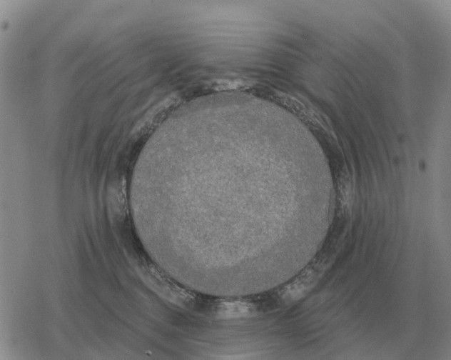 X0000078290376200611251449