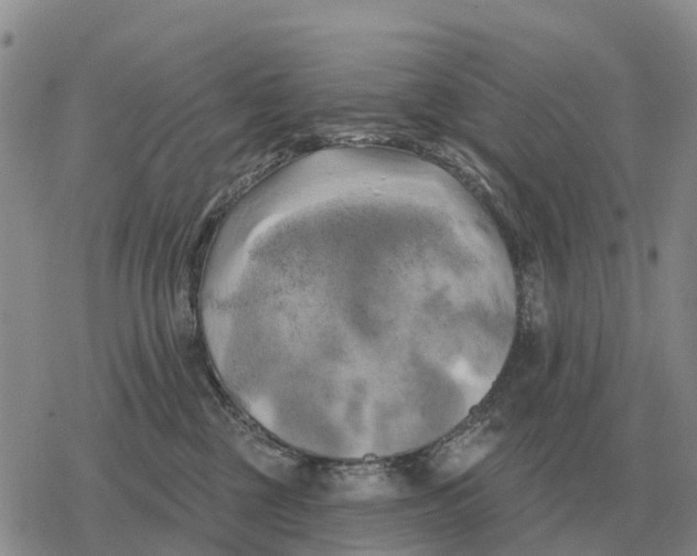 X0000078290377200611251449