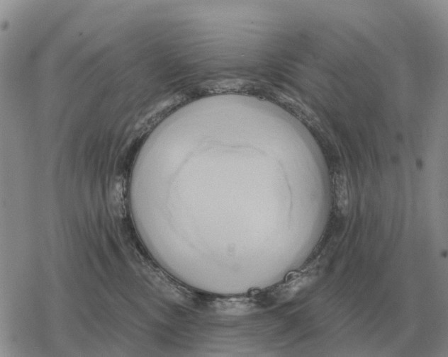 X0000078290378200611251449