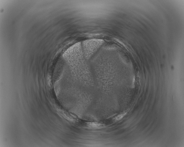 X0000078290380200611251449