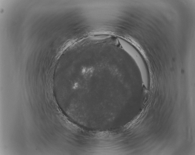 X0000078290385200611251448