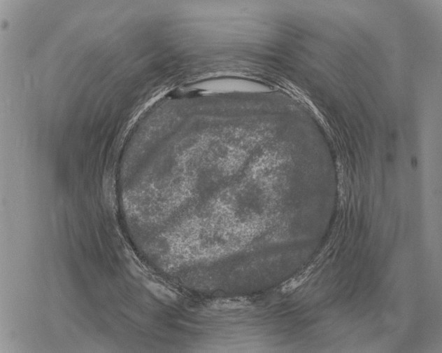 X0000078290386200611251448