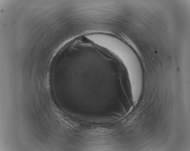 X0000078290387200611251448