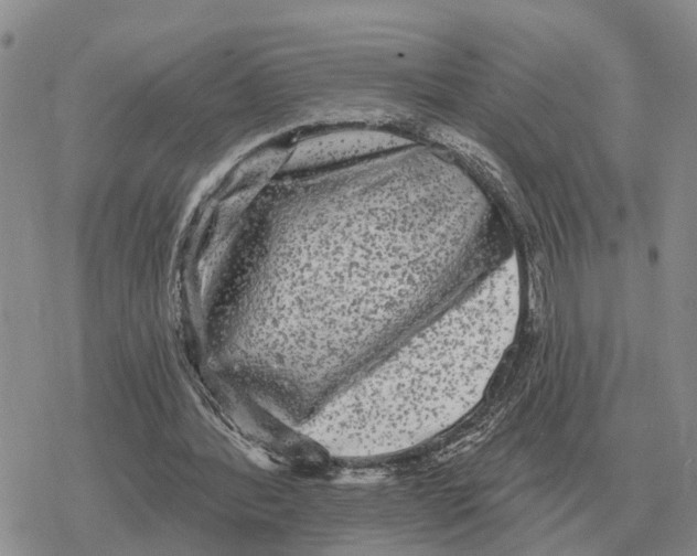 X0000078290388200611251448