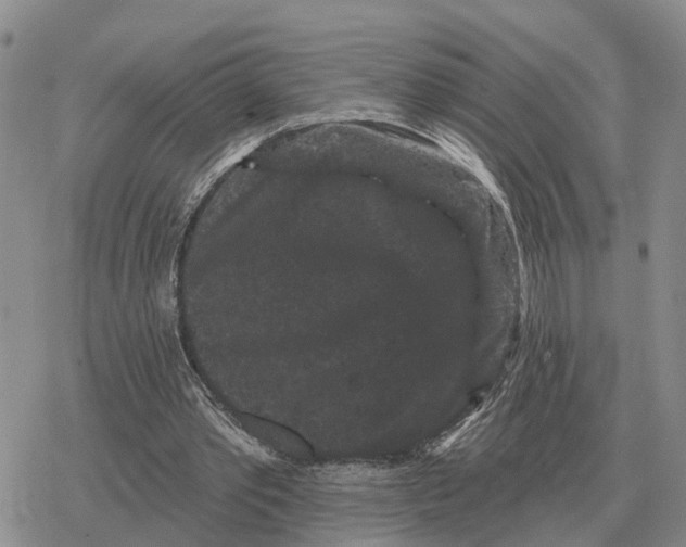 X0000078290389200611251448