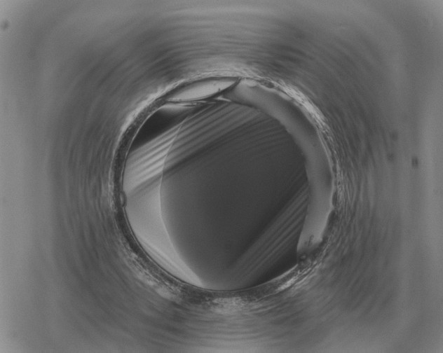 X0000078290391200611251448