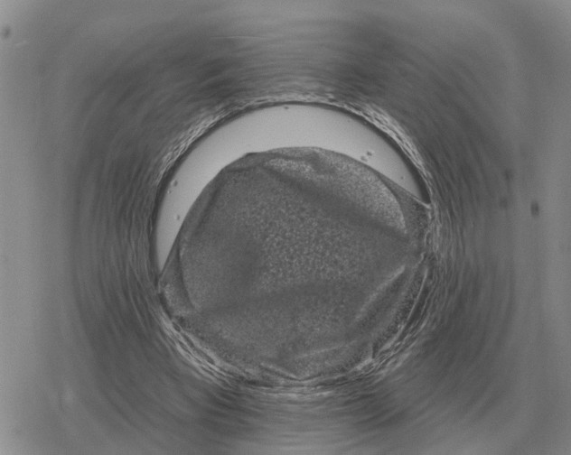 X0000078290393200611251448