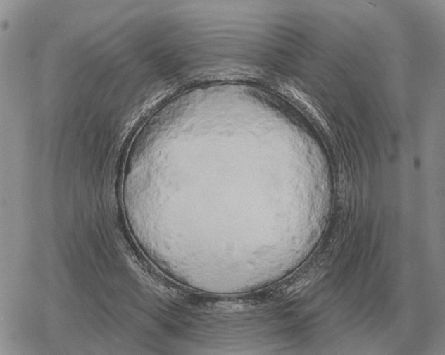 X0000078290394200611251448