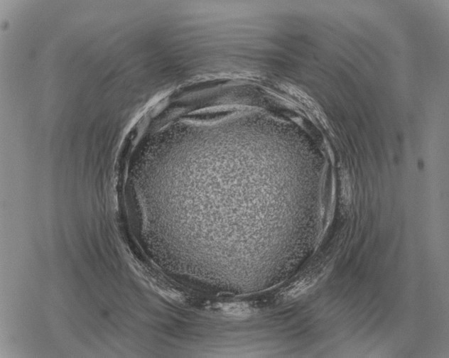 X0000078290395200611251448