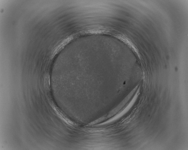 X0000078290397200611251448