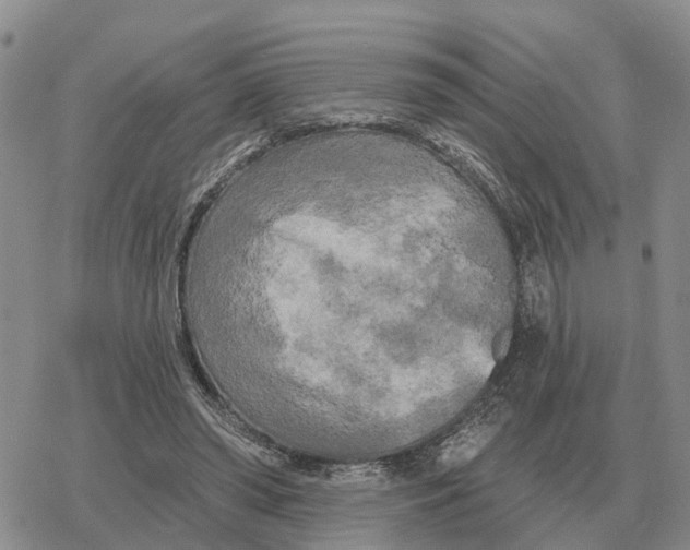 X0000078290398200611251448