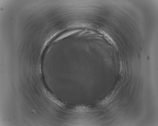 X0000078290399200611251448