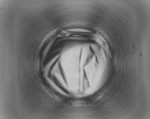 X0000078290400200611251448