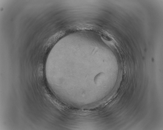 X0000078290402200611251448