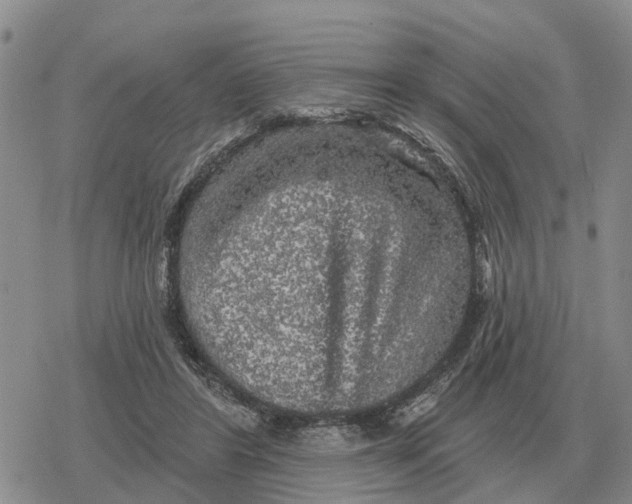 X0000078290404200611251448