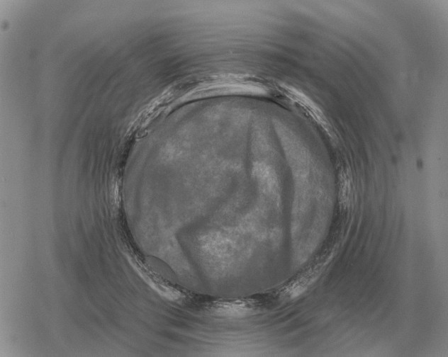 X0000078290405200611251448