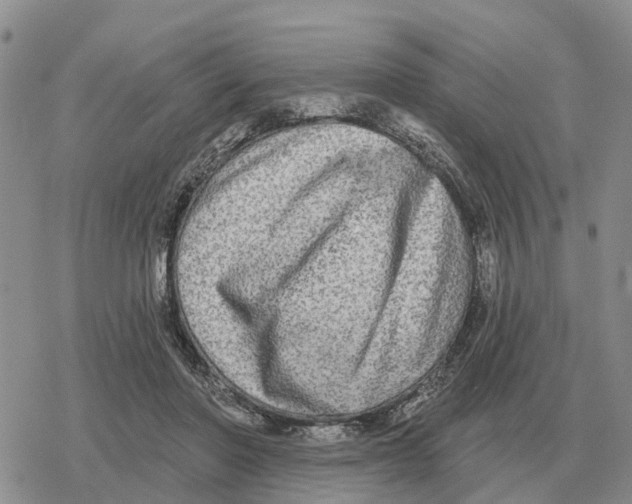 X0000078290406200611251448