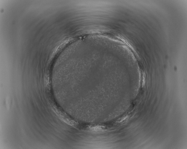 X0000078290407200611251448