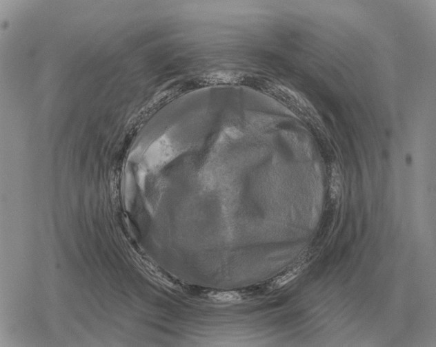 X0000078290409200611251448