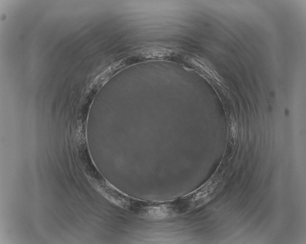 X0000078290411200611251448