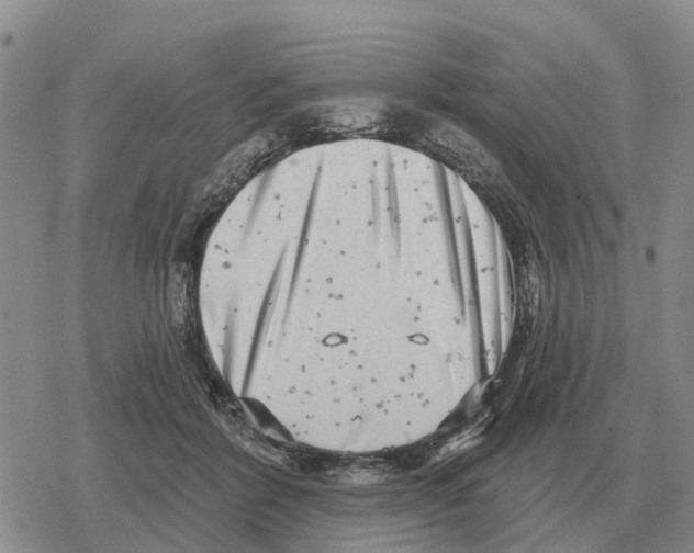 X0000078290412200611251448