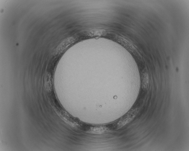 X0000078290414200611251448