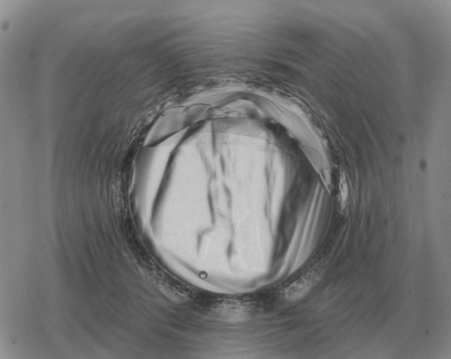 X0000078290416200611251448