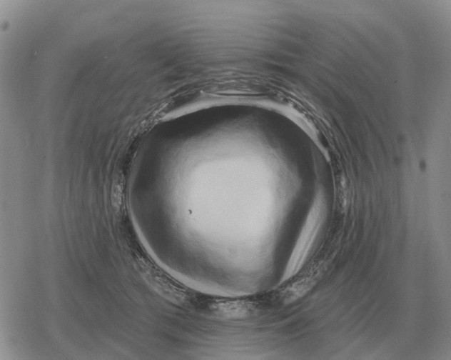 X0000078290417200611251448