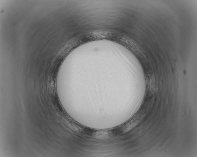 X0000078290418200611251448