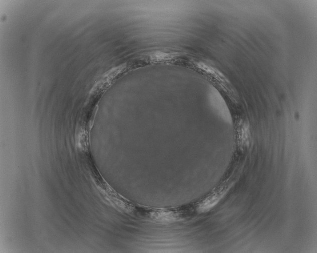 X0000078290419200611251448