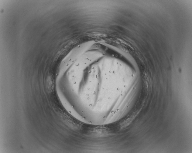 X0000078290420200611251448