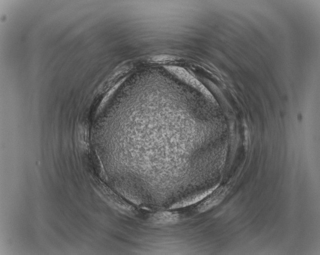 X0000078290421200611251448