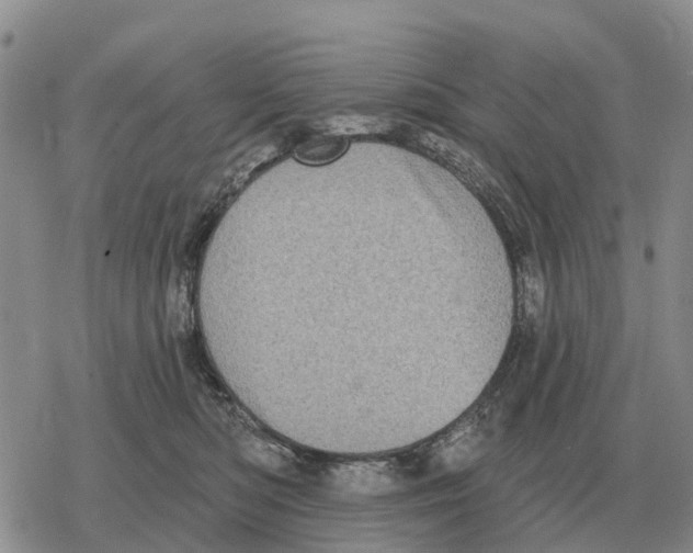 X0000078290422200611251448