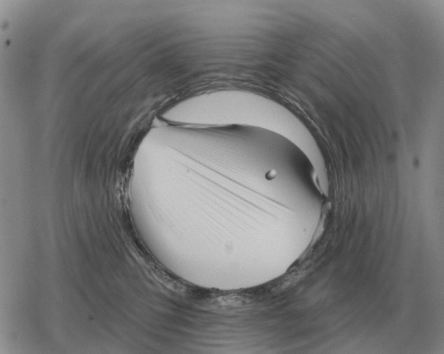 X0000078290423200611251448