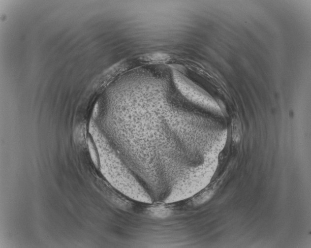 X0000078290425200611251448