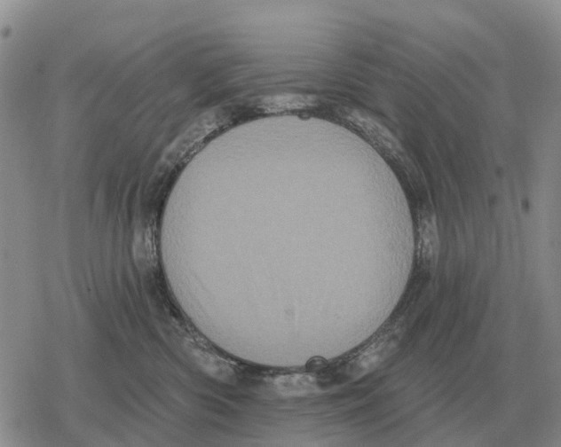 X0000078290426200611251448