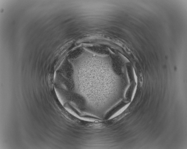 X0000078290428200611251448