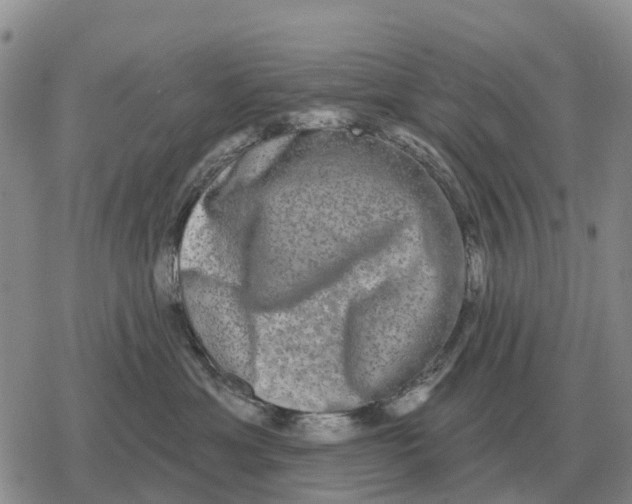 X0000078290429200611251448