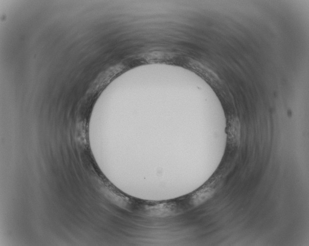 X0000078290430200611251448