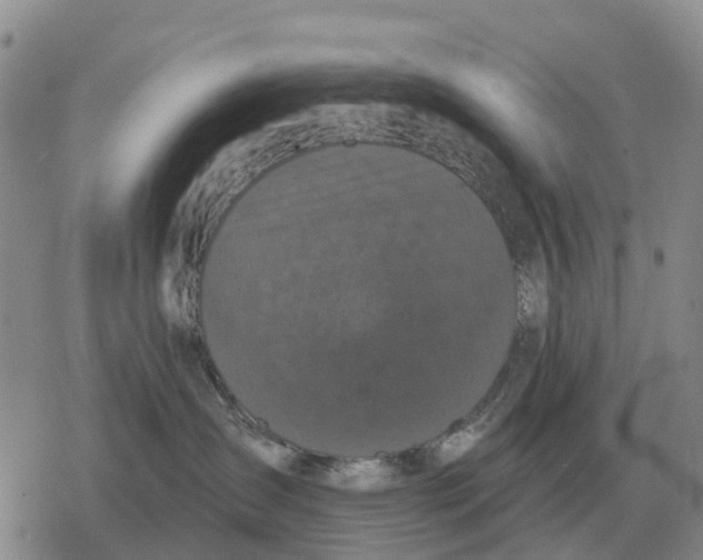 X0000078290431200611251448