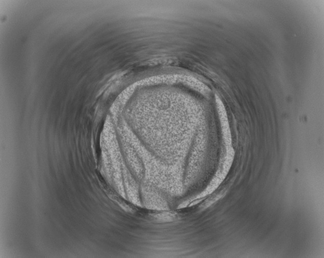 X0000078290432200611251448